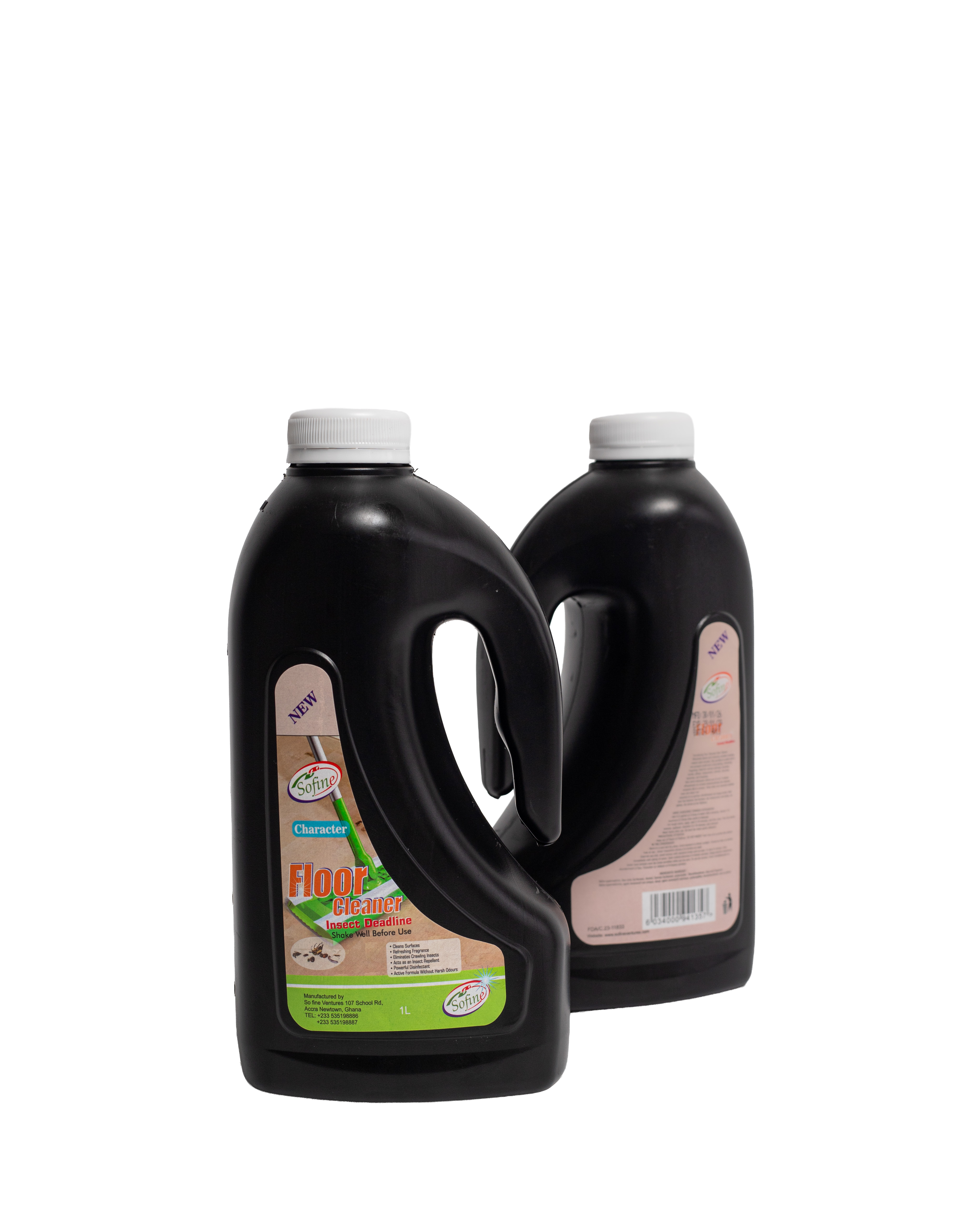 Floor Cleaner (Insecticide) — Paragon variant